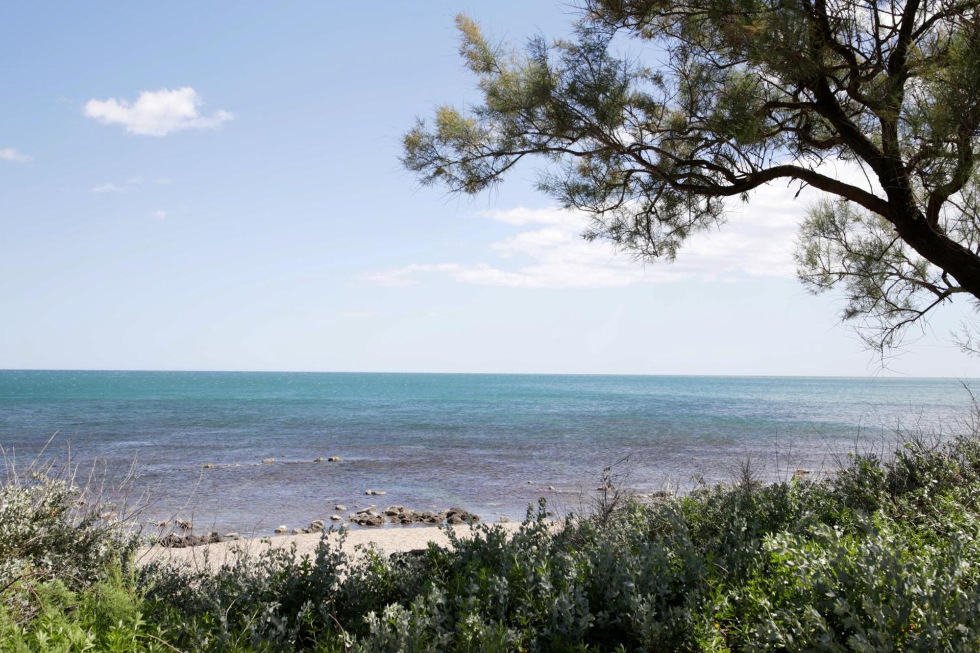 Apartamento Centre Port,Vue Panoramique,Clim,Balcon,Wifi Agde Exterior foto